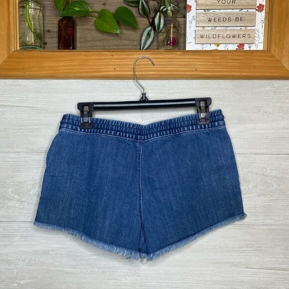 Aerie Shorts - Picture 4 of 4